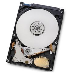  HGST HDD ENDURASTAR J4K320 250GB 