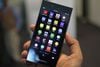 Blackberry Leap