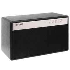  Loa Bluetooth Mozard BT100 Đen 