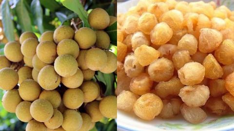 Tổng hợp các cách bảo quản nhãn tươi và cách bảo quản long nhãn được lâu