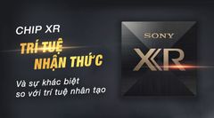  Chip trí tuệ nhận thức Cognitive XR của tivi Sony là gì? 