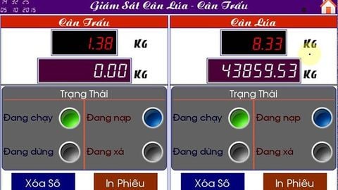 TOP 4 phần mềm, ứng dụng cân lúa chính xác nhất trên Android, iOS
