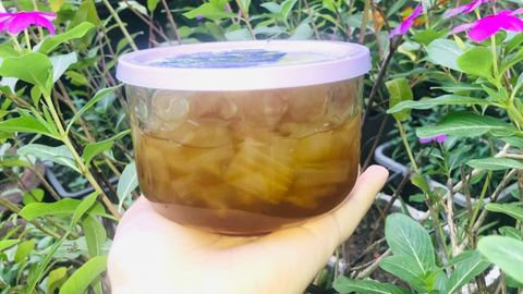 Cách làm nha đam ngâm mật ong thơm bùi, thanh mát cực tốt cho sức khỏe
