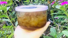  Cách làm nha đam ngâm mật ong thơm bùi, thanh mát cực tốt cho sức khỏe 