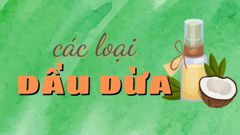  Tổng hợp các loại dầu dừa phổ biến trên thị trường hiện nay 