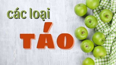 Tổng hợp tên các loại táo nhập khẩu ngon phổ biến trên thị trường