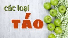  Tổng hợp tên các loại táo nhập khẩu ngon phổ biến trên thị trường 
