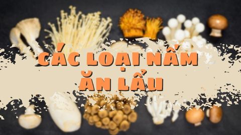 Tổng hợp tên các loại nấm ăn lẩu ngon, dễ tìm và được ưa chuộng nhất