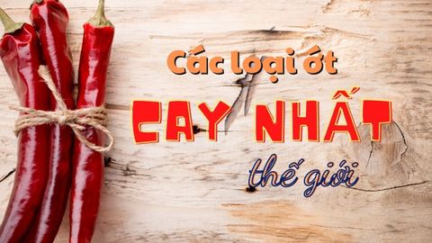 Khám phá các loại ớt cay nhất thế giới có thể bạn chưa biết