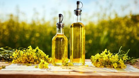 Dầu hạt cải - Canola oil là gì? Dầu hạt cải có tốt không? Nơi mua, giá bán