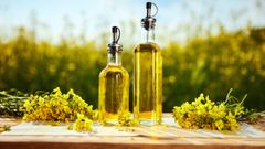 Dầu hạt cải - Canola oil là gì? Dầu hạt cải có tốt không? Nơi mua, giá bán 