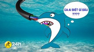 Cáp APG lại đứt dù AAG chưa sửa xong, cáp quang biển Việt Nam đứt trung bình 10 lần 1 năm, mỗi lần sửa hơn 1 tháng