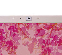 Camera Sony Vaio Vgn-Cs320E/P