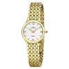Đồng hồ Nam Adriatica A8254.1153Q
