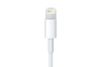 Cáp Lightning 1m Apple MXLY2 Trắng