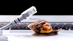 Ăn xong cái Tết Nguyên Đán 2021, tuyến cáp quang biển IA mới được sửa xong, còn đâu giấc mộng cày phim nữa 