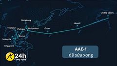  Tuyến cáp AAE-1 đã được sửa xong, nhưng phải 5 ngày nữa Internet Việt Nam đi quốc tế mới khôi phục hoàn toàn 