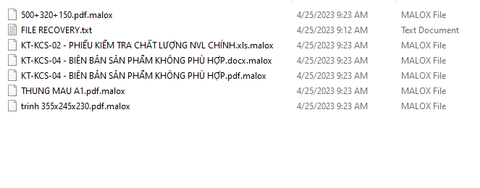 Phục hồi dữ liệu bị virus mã hóa, hacker tống tiền MALOX