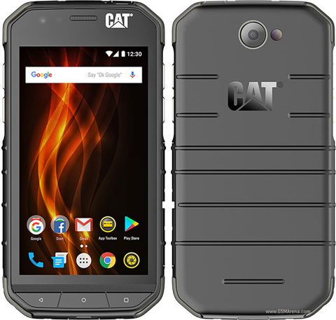 Cat S31