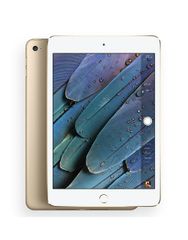 iPad Pro repair service