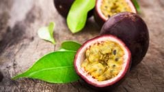  Tổng hợp các giống, các loại chanh dây phổ biến tại Việt Nam và thế giới 
