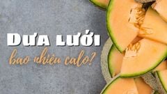  Dưa lưới bao nhiêu calo? Ăn dưa lưới có mập không và cách ăn dưa lưới 