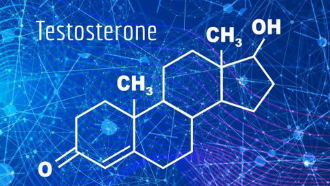 Testosterone có vai trò gì, tác dụng? Thực phẩm chứa testosterone tự nhiên