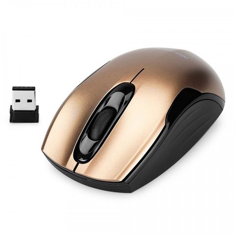 Chuột Không Dây Newmen F266