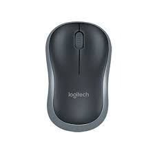 Chuột Không Dây Logitech B175 Wireless