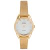 Đồng hồ Nữ Anne Klein AK/1868GBST