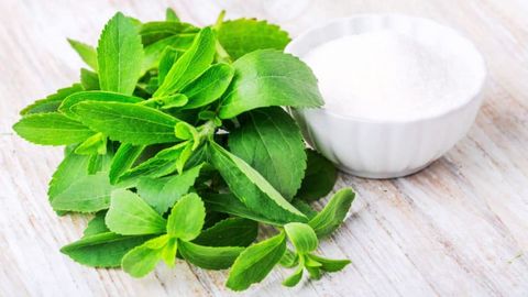 Đường cỏ ngọt - Stevia là đường gì? Đường cỏ ngọt có tốt không và mua ở đâu
