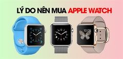 Có Nên Mua Apple Watch? 10 Lý Do Nên Mua Apple Watch 