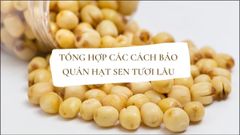  Tổng hợp các cách bảo quản hạt sen tươi được lâu 