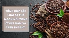  Tổng hợp các loại cà phê ngon nổi tiếng ở Việt Nam và trên thế giới 
