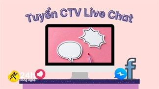 Tuyển CTV Live chat Thế Giới Di Động và Điện Máy XANH: Công việc đơn giản, thu nhập hấp dẫn, làm việc tại Tân Bình