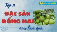  Top 11 đặc sản Đồng Nai làm quà mua về nổi tiếng thơm ngon 