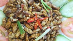  Cách làm nhộng xào tỏi ngon, thơm béo cực bắt vị cho bữa cơm 