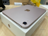 Máy tính bảng iPad Mini 6 Wifi 64GB Pink