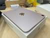 Máy tính bảng iPad Mini 6 Wifi 64GB Pink