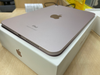 Máy tính bảng iPad Mini 6 Wifi 64GB Pink