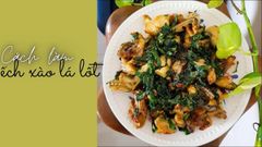  Cách làm ếch xào lá lốt đậm đà, thơm ngon khó cưỡng 
