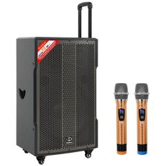  Loa kéo Karaoke Dalton TS-15G600X 