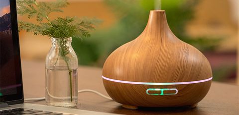 Máy xông tinh dầu loại nào tốt? 7 thương hiệu máy xông tinh dầu phổ biến trên thị trường
