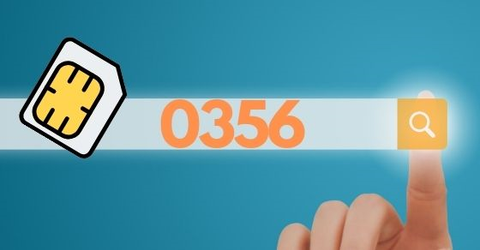 Đầu số 0356 là mạng gì? Ý nghĩa của đầu số 0356? Có phải đầu số đẹp?