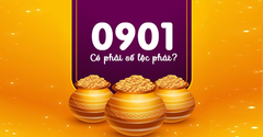  Đầu số 0901 là mạng gì? Ý nghĩa của đầu số 0901? Có phải số lộc phát? 
