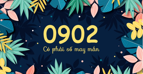 Đầu số 0902 là mạng gì? Ý nghĩa của đầu số 0902? Có phải số may mắn?
