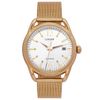 Đồng hồ Nữ Anne Klein AK/1868GBST