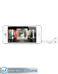 iPhone 5 warranty service