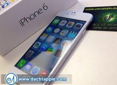 warranty iphone 6