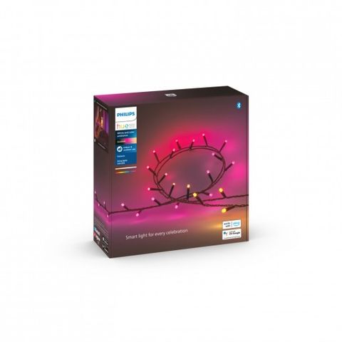 Đèn thông minh Philips HUE Festavia string light 250 LEDs